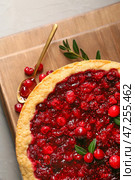 Доски с вкусным брусничным пирогом на столе. Стоковое фото, фотограф Pixel_shot / Фотобанк Лори
