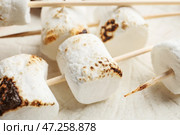 Шашлычки с вкусным зефиром на светлом фоне, крупным планом. Стоковое фото, фотограф Pixel_shot / Фотобанк Лори