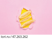 Сладкая разрезанная дыня на разорванной цветной бумаге. Стоковое фото, фотограф Pixel_shot / Фотобанк Лори