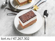 Тарелка с кусочком птичьего молока, ложкой и ванилью на сером столе. Стоковое фото, фотограф Pixel_shot / Фотобанк Лори