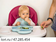 Baby food. The first meal. Feeding the baby. A cute little kid eats vegetables. Healthy food. The child is sitting on a high chair for feeding. Fresh vegetables and fruits. Стоковое фото, фотограф Photojuli / Фотобанк Лори