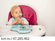 Baby food. The first meal. Feeding the baby. A cute little kid eats vegetables. Healthy food. The child is sitting on a high chair for feeding. Fresh vegetables and fruits. Стоковое фото, фотограф Photojuli / Фотобанк Лори