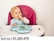 Baby food. The first meal. Feeding the baby. A cute little kid eats vegetables. Healthy food. The child is sitting on a high chair for feeding. Fresh vegetables and fruits. Стоковое фото, фотограф Photojuli / Фотобанк Лори
