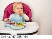 Baby food. The first meal. Feeding the baby. A cute little kid eats vegetables. Healthy food. The child is sitting on a high chair for feeding. Fresh vegetables and fruits. Стоковое фото, фотограф Photojuli / Фотобанк Лори