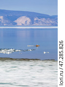 Spring landscape of Baikal Lake in May during ice drift on Small Sea. A seagull, having flown in from warmer regions after wintering, sits on stone islet near Olkhon Island on sunny morning. Spring travels. Стоковое фото, фотограф Виктория Катьянова / Фотобанк Лори