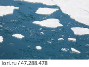 Top view of spring ice drift. White ice floes and needle-shaped ice floes float on blue water on a sunny spring day. Changing seasons. Natural water background, texture of melting ice. Стоковое фото, фотограф Виктория Катьянова / Фотобанк Лори