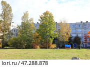 Двор провинциального городка. Стоковое фото, фотограф Максим Поляков / Фотобанк Лори