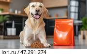 Happy dog enjoys meal time next to orange food bag mockup in modern kitchen space with warm lighting. Счастливая собака наслаждается трапезой рядом с оранжевым пакетом с едой в современной кухне с теплым освещением. Стоковое AI-изображение, AI-художник Katsiaryna Repich / Фотобанк Лори