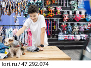 Teenage boy chooses clothes for Yorkshire terrier in pet store. Стоковое фото, фотограф Яков Филимонов / Фотобанк Лори
