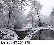 Снежная рапсодия. Стоковое фото, фотограф Ольга Ивановна Октябрева / Фотобанк Лори