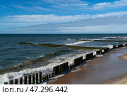 View of the Baltic Sea and wooden breakwaters of the city beach on a summer day, Svetlogorsk, Kaliningrad region, Russia. Стоковое фото, фотограф Ula Ulachka / Фотобанк Лори