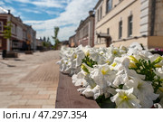 Tula, Metallistov Street in a blur. Tourist centre, pedestrian street Tula. Стоковое фото, фотограф Оксана Медведева / Фотобанк Лори