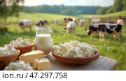Натюрморт с различными молочными продуктами на фоне пасущихся коров на летнем лугу. Стоковое AI-изображение, AI-художник Щеголева Ольга / Фотобанк Лори