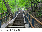 Лестница, спускающаяся по крутому берегу Москвы-реки. Природный заказник на Воробьевых горах, Москва. (2024 год). Редакционное фото, фотограф Александр Тараканов / Фотобанк Лори