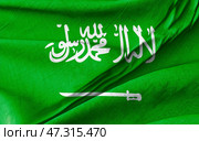 Saudi Arabian Flag Displaying the Shahada with Sword on Vibrant Green Background. Стоковое фото, фотограф Kirill Tonkikh / Фотобанк Лори