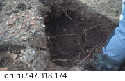 A person is standing in a hole in the ground, looking down at the roots. Стоковое видео, видеограф Скрипачев Антон / Фотобанк Лори