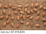 Unshelled almond. Стоковое фото, фотограф Александр Собко / Фотобанк Лори