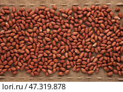 Peeled peanut. Стоковое фото, фотограф Александр Собко / Фотобанк Лори