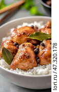 Deliciously prepared chicken adobo served on a bed of fluffy white rice showcasing rich flavors and authentic Filipino cuisine. Стоковое AI-изображение, AI-художник 123 12 / Фотобанк Лори