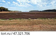 Отлив на Адриатическом море в Хорватии. Раннее утро. Май. Low tide on the Adriatic Sea in Croatia. Early morning. May. Стоковое видео, видеограф Горшков Александр / Фотобанк Лори
