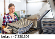 Professional woman farmer loading empty trays in automatic seed planting conveyor in greenhouse. Стоковое фото, фотограф Яков Филимонов / Фотобанк Лори