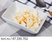 Portion of traditional Catalan dessert, mato with honey. Стоковое фото, фотограф Яков Филимонов / Фотобанк Лори
