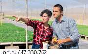 Man and woman gardeners discussing work in hothouse. Стоковое фото, фотограф Яков Филимонов / Фотобанк Лори