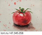 Помидор акварельный. Стоковая иллюстрация, иллюстратор Татьяна Халаменда / Фотобанк Лори