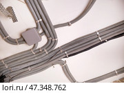 The electrical wires in the protective corrugated cable tube and the junction box are neatly laid on the ceiling. Стоковое фото, фотограф Виктория Тельминова / Фотобанк Лори