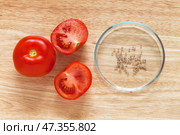 Seeds of salad vitamin tomato in petri dish and red fresh organic vegetable tomatoes on wooden cutting board. Seeds before sowing in kitchen garden. Spring gardening. Flat lay, close-up, top view. Стоковое фото, фотограф Виктория Катьянова / Фотобанк Лори