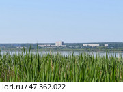 Противоположный берег Ижевского пруда. Стоковое фото, фотограф Григорий Перепелица / Фотобанк Лори