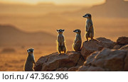 Four small animals are standing on a rocky hillside. Стоковое AI-видео, аниматор Sergey Grishin / Фотобанк Лори