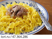 Тарелка желтой лапши с мясом и луком. Стоковое AI-изображение, AI-художник Ярославский Максим / Фотобанк Лори