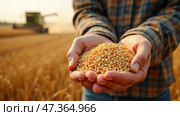 A person stands in a golden field at sunset, holding a handful of seeds. Behind them, a harvester works diligently, symbolizing a fruitful harvest. Стоковое AI-изображение, AI-художник Sergey Grishin / Фотобанк Лори