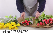 Florist arranging tulip bouquets with careful precision and creative flair. Стоковое видео, видеограф Zakharova Natasha / Фотобанк Лори