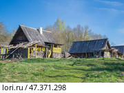 Заброшенные старые деревянные дома. Псковская область (2022 год). Стоковое фото, фотограф Анна Карасева / Фотобанк Лори