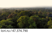 Drone video dense forest massifs within the city of Margao in the state of Goa. India. Стоковое фото, фотограф Mikhail Davidovich / Фотобанк Лори