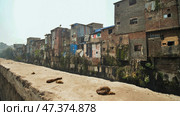 Dharavi slums in east Mumbai. Bandra District, Maharashtra, India. Стоковое фото, фотограф Mikhail Davidovich / Фотобанк Лори