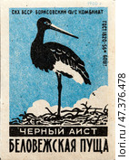 Чёрный аист. Серия "Беловежская пуща". Спичечные этикетки СССР. 1960. Редакционное фото, фотограф Сергей Афанасьев / Фотобанк Лори