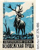 Европейский олень. Серия: Беловежская пуща. Спичечные этикетки СССР. 1960. Редакционное фото, фотограф Сергей Афанасьев / Фотобанк Лори