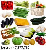 Vegetables isolated on white background. Стоковое фото, фотограф Яков Филимонов / Фотобанк Лори