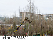 Рабочие на автовышке проводят обрезку деревьев во дворе жилого дома, городской пейзаж. Волгоград, Тракторозаводский район, Россия. (2023 год). Редакционное фото, фотограф Андрей Цыганков / Фотобанк Лори
