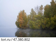 Утренний туман над рекой. Лес на береу реки в тумане. Стоковое фото, фотограф Александр К / Фотобанк Лори