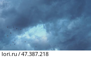 Heavy clouds fill the sky, signaling an impending storm. The atmospheric change creates a dramatic backdrop as daylight wanes, hinting at rain on the horizon. Time lapse. Стоковое видео, видеограф Юлия Петровская / Фотобанк Лори