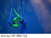 Belarus, Gomel, June 13, 2017 Palace of Culture, performance of the Abel Folk Circus,A girl dancing a dance on canvases.Children's sports. Girl gymnast. Straight tricks. Редакционное фото, фотограф Лазаренко Светлана / Фотобанк Лори