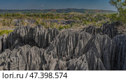 The incredible landscape of Madagascar. Gray karst rocks with steep, furrowed slopes, sharp, spiny peaks in the foreground. There is green vegetation in the valley in the distance.Tsingy De Bemaraha (2023 год). Стоковое фото, фотограф Вера Ивановна Кубарева / Фотобанк Лори