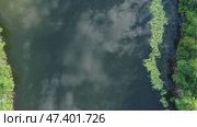 Top view of calm summer lake. Стоковое видео, видеограф Михаил Коханчиков / Фотобанк Лори