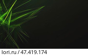 Dark background, laser beams of green light on a black background. Стоковое AI-видео, аниматор Ирина Ручушкина / Фотобанк Лори