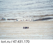 Mongolian horsemen, yurts and snow mountains. Стоковое фото, фотограф Саблин Станислав / Фотобанк Лори