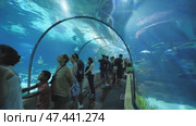Barcelona, Spain - August 5, 2018: Tourists visits Barcelona Aquarium. Aquarium located in Port Vell, a harbor in Barcelona, Catalonia, Spain. Редакционное видео, видеограф Mikhail Davidovich / Фотобанк Лори